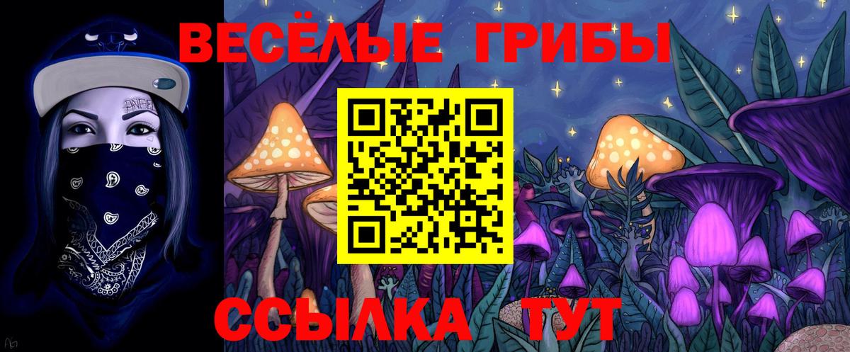 Псилоцибиновые грибы Psilocybe Электросталь